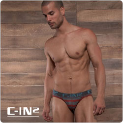 C-IN2&nbsp;&nbsp;1514