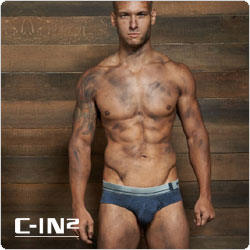 C-IN2  5013
