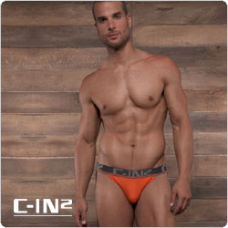 C-IN2&nbsp;&nbsp;1726