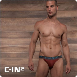 C-IN2&nbsp;&nbsp;1726