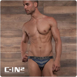 C-IN2&nbsp;&nbsp;1526