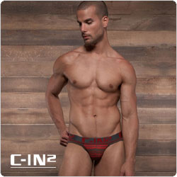 C-IN2&nbsp;&nbsp;1514