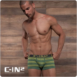 C-IN2&nbsp;&nbsp;1523