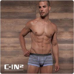 C-IN2&nbsp;&nbsp;1523