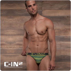 C-IN2  1526