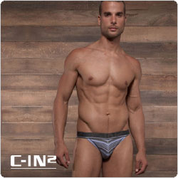 C-IN2&nbsp;&nbsp;1526