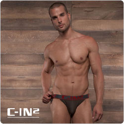 C-IN2&nbsp;&nbsp;1726