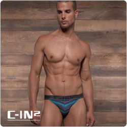 C-IN2&nbsp;&nbsp;1526