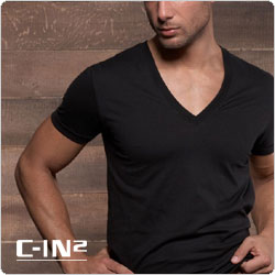 C-IN2  4111