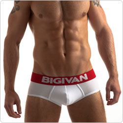 bigivan  0113