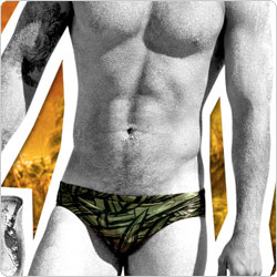 aussiebum  palm