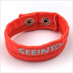 seeinto  s036