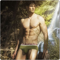 Aussiebum  Daintree