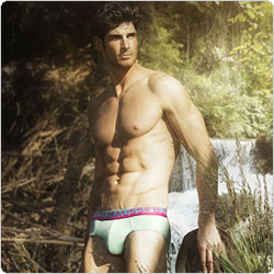 Aussiebum  Daintree