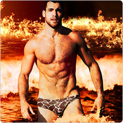 aussiebum  Animal Series