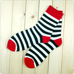 seeinto  w15513-12