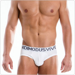 modusvivendi  18511