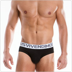 modusvivendi  18511