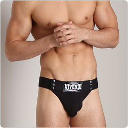 modusvivendi  15012