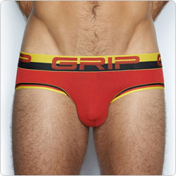 C-IN2  3613P-SS16