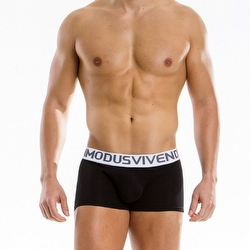 modusvivendi  18521