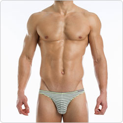 modusvivendi  09611