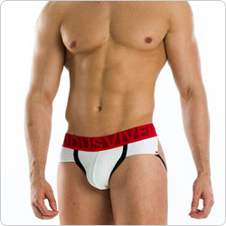 modusvivendi  25511