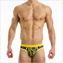 modusvivendi  mv10613