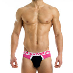 modusvivendi  mv13613