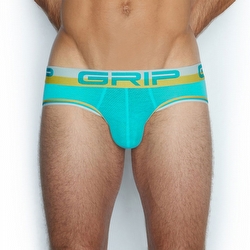 C-IN2  3613P-SS17