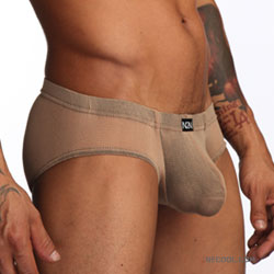 丝网透明三角内裤1017-n