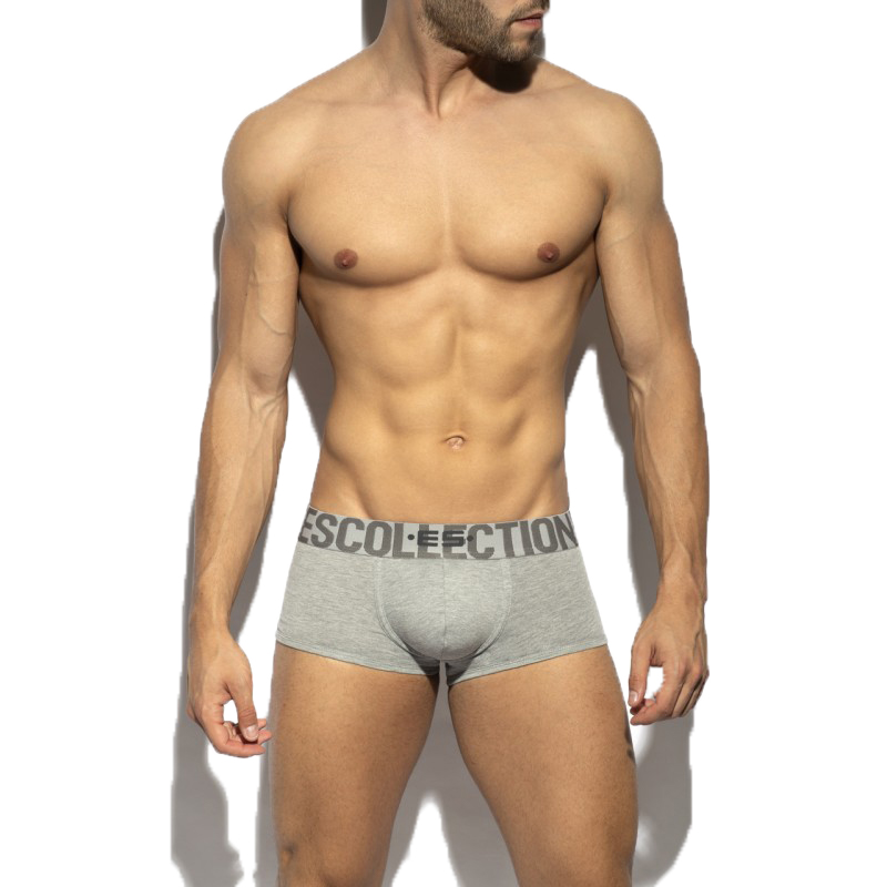 EScollection  UN488